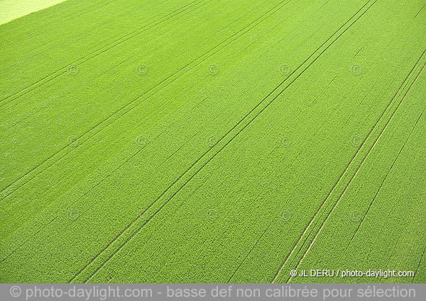 agriculture - Hesbaye